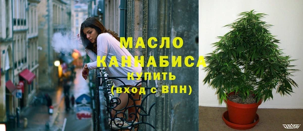 МДПВ Заводоуковск