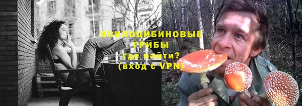 МДПВ Заводоуковск