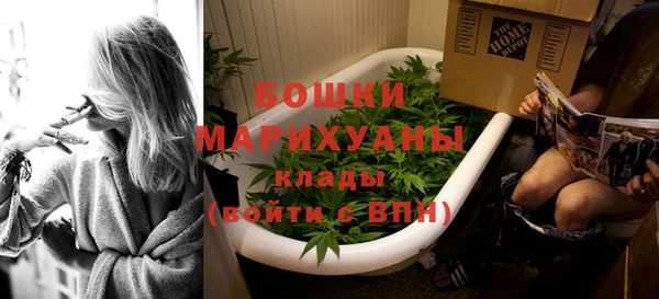 МДПВ Заводоуковск