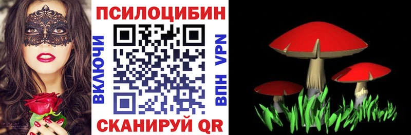 Псилоцибиновые грибы прущие грибы  MEGA ONION  Спасск-Рязанский 